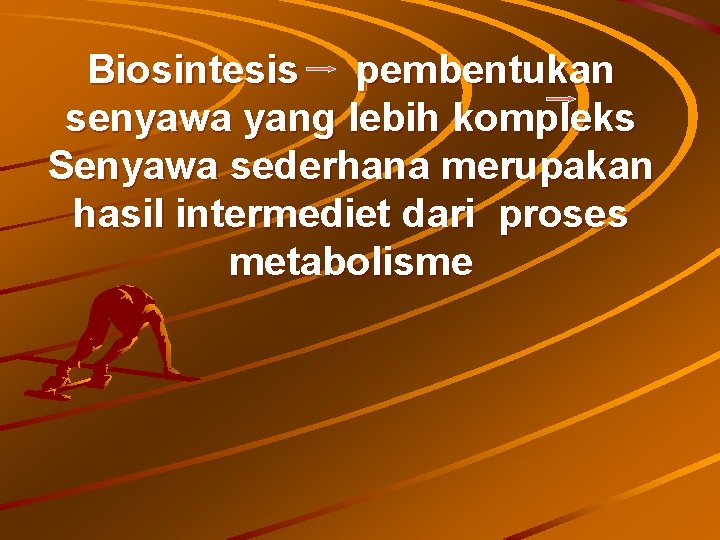 Biosintesis pembentukan senyawa yang lebih kompleks Senyawa sederhana merupakan hasil intermediet dari proses metabolisme