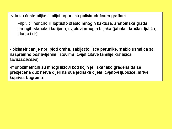 -vrlo su česte biljke ili biljni organi sa polisimetričnom građom -npr. cilindrično ili loptasto