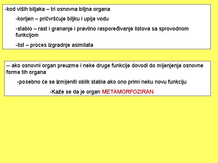 -kod viših biljaka – tri osnovna biljna organa -korijen – pričvršćuje biljku i upija