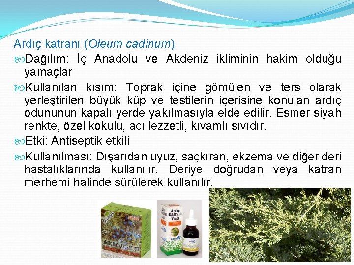 Ardıç katranı (Oleum cadinum) Dağılım: İç Anadolu ve Akdeniz ikliminin hakim olduğu yamaçlar Kullanılan