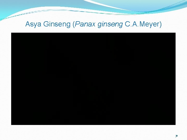 Asya Ginseng (Panax ginseng C. A. Meyer) 31 
