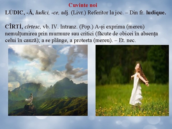 Cuvinte noi LÚDIC, -Ă, ludici, -ce, adj. (Livr. ) Referitor la joc. – Din