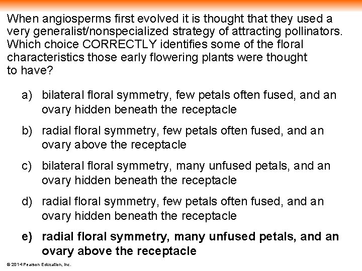 When angiosperms first evolved it is thought that they used a very generalist/nonspecialized strategy