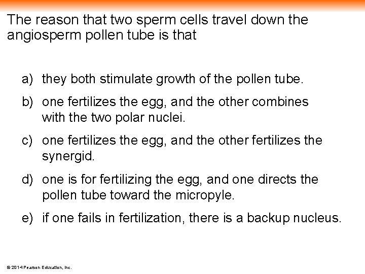 The reason that two sperm cells travel down the angiosperm pollen tube is that