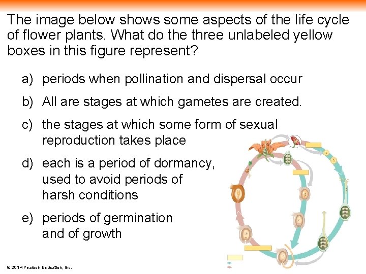 The image below shows some aspects of the life cycle of flower plants. What