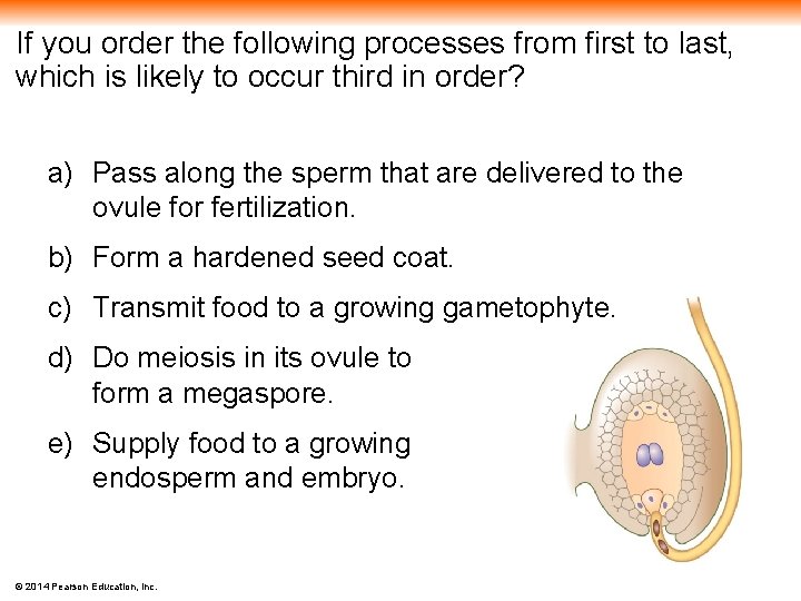 If you order the following processes from first to last, which is likely to