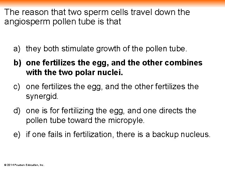 The reason that two sperm cells travel down the angiosperm pollen tube is that