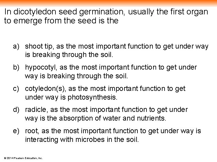 In dicotyledon seed germination, usually the first organ to emerge from the seed is