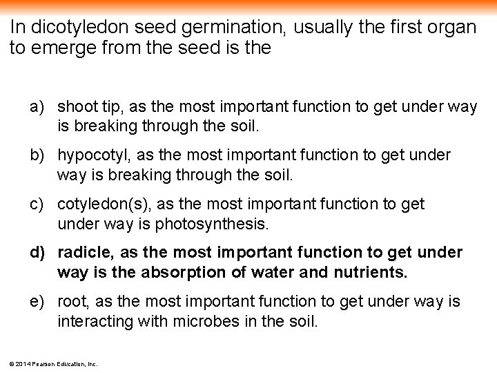 In dicotyledon seed germination, usually the first organ to emerge from the seed is