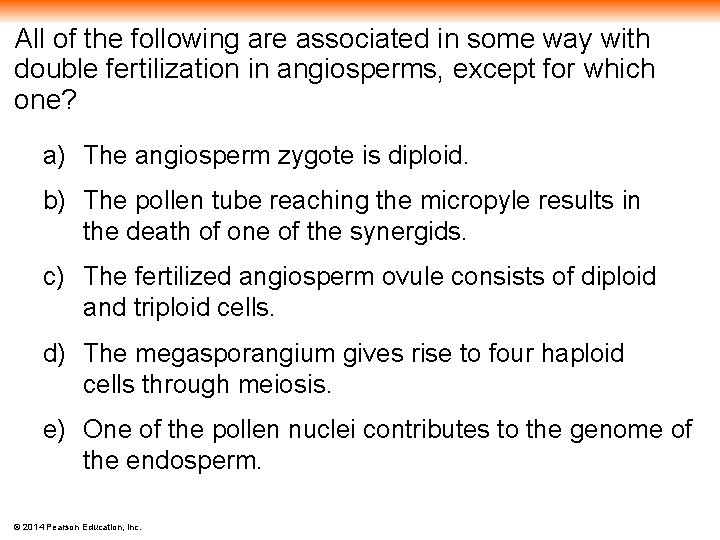 All of the following are associated in some way with double fertilization in angiosperms,