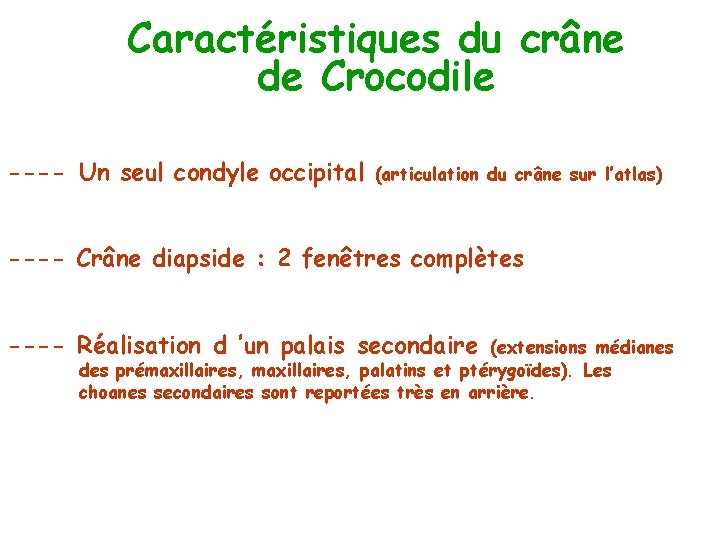 Caractéristiques du crâne de Crocodile ---- Un seul condyle occipital (articulation du crâne sur