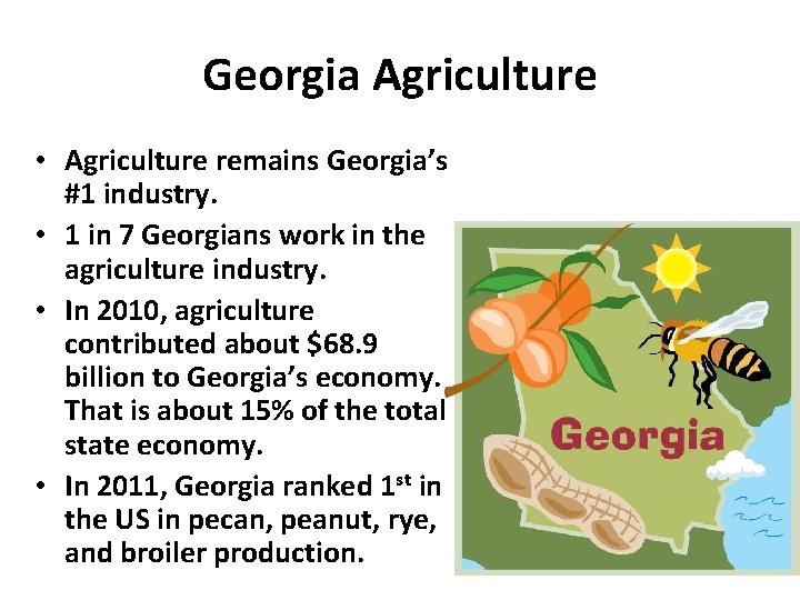 Georgia Agriculture • Agriculture remains Georgia’s #1 industry. • 1 in 7 Georgians work