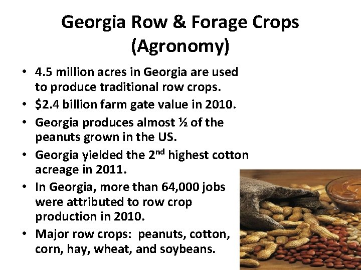 Georgia Row & Forage Crops (Agronomy) • 4. 5 million acres in Georgia are