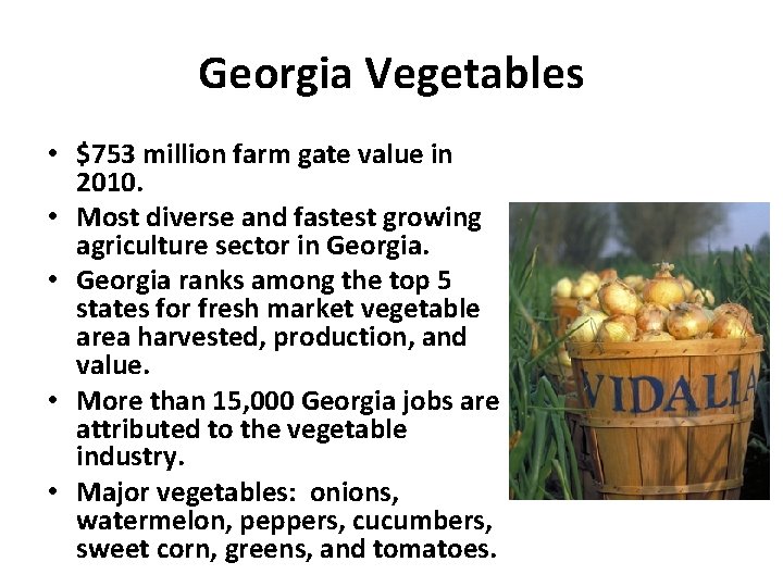Georgia Vegetables • $753 million farm gate value in 2010. • Most diverse and