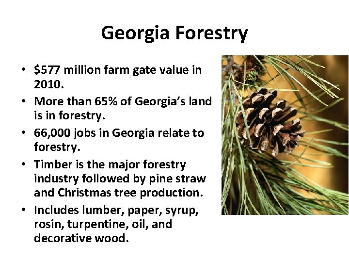 Georgia Forestry • $577 million farm gate value in 2010. • More than 65%