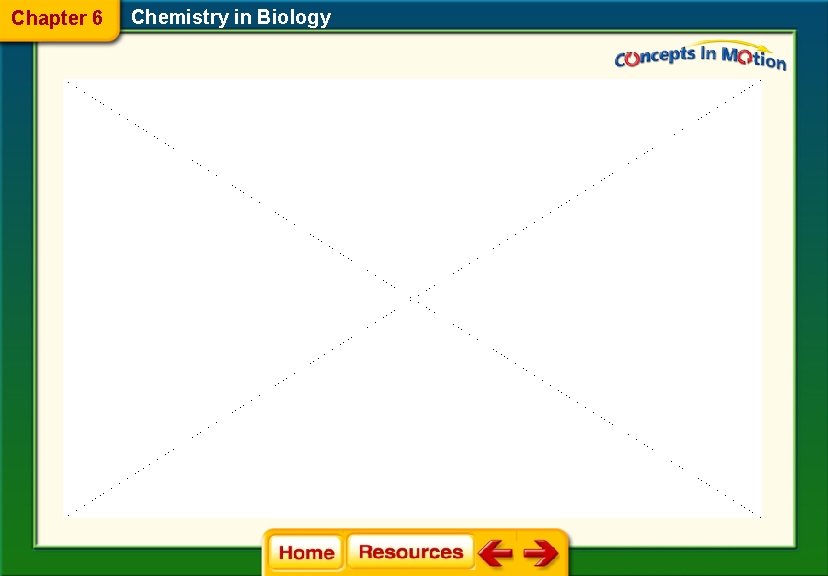 Chapter 6 Chemistry in Biology 