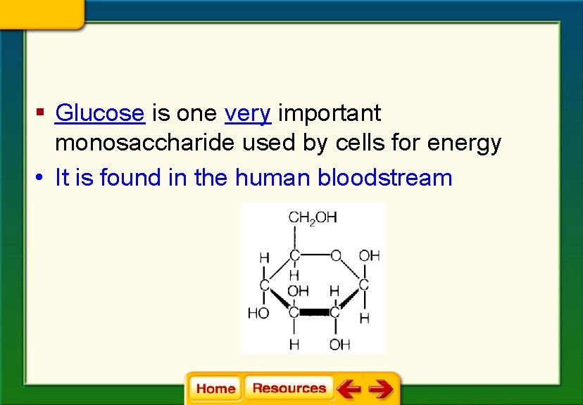 § Glucose is one very important monosaccharide used by cells for energy • It