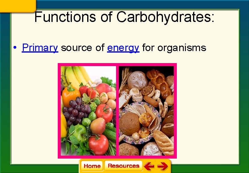 Functions of Carbohydrates: • Primary source of energy for organisms 