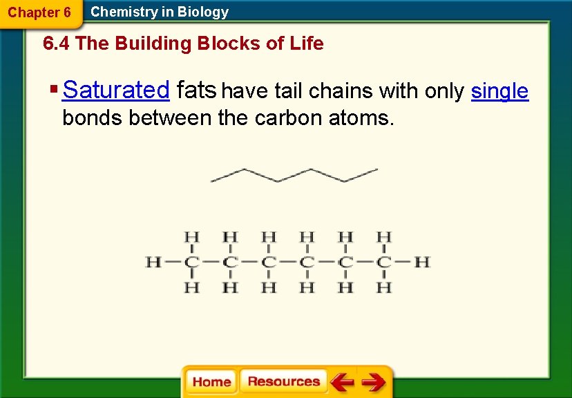 Chapter 6 Chemistry in Biology 6. 4 The Building Blocks of Life § Saturated