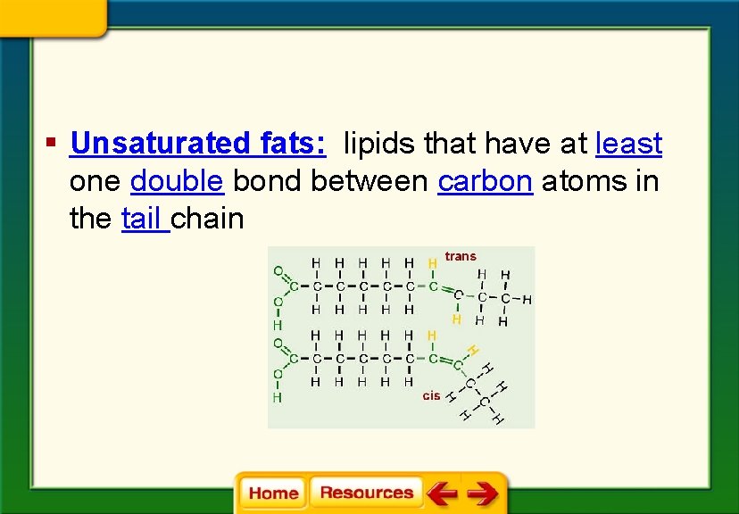 § Unsaturated fats: lipids that have at least one double bond between carbon atoms