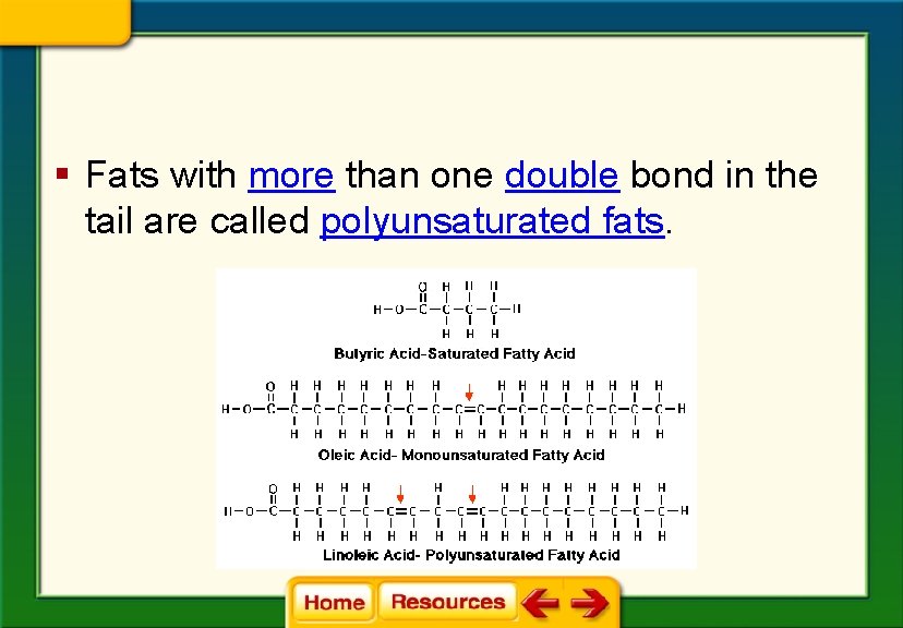 § Fats with more than one double bond in the tail are called polyunsaturated