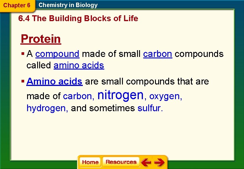 Chapter 6 Chemistry in Biology 6. 4 The Building Blocks of Life Protein §