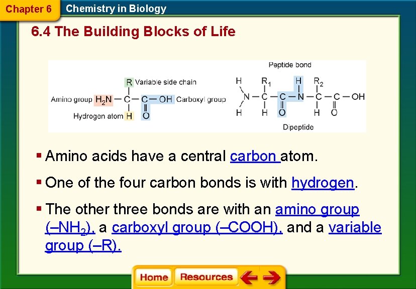 Chapter 6 Chemistry in Biology 6. 4 The Building Blocks of Life § Amino