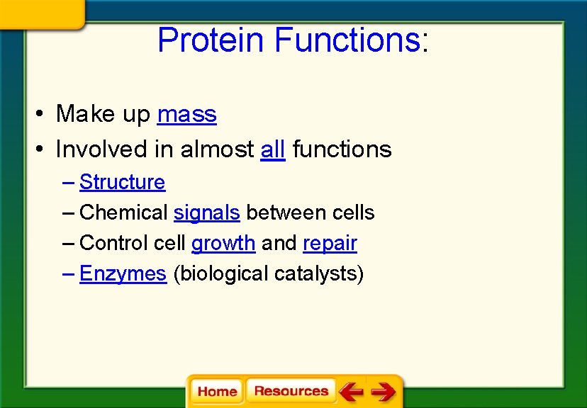 Protein Functions: • Make up mass • Involved in almost all functions – Structure