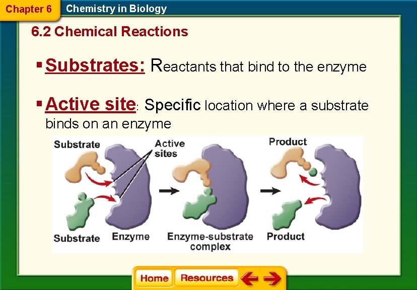 Chapter 6 Chemistry in Biology 6. 2 Chemical Reactions § Substrates: Reactants that bind