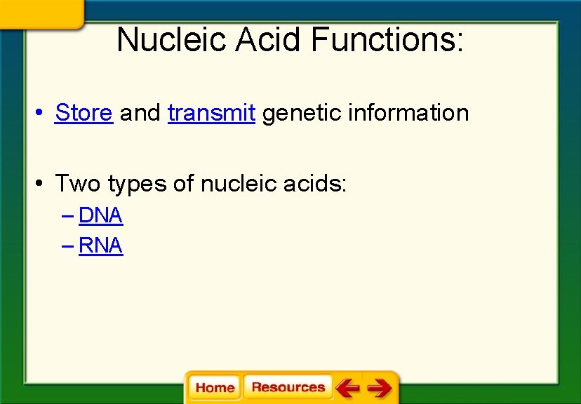 Nucleic Acid Functions: • Store and transmit genetic information • Two types of nucleic