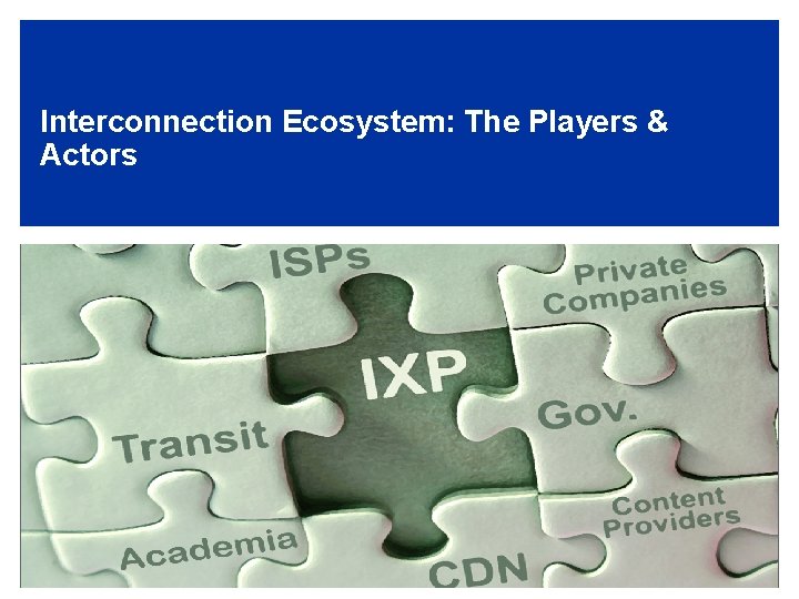 Interconnection Ecosystem: The Players & Actors 