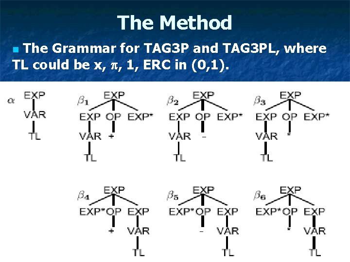 The Method The Grammar for TAG 3 P and TAG 3 PL, where TL