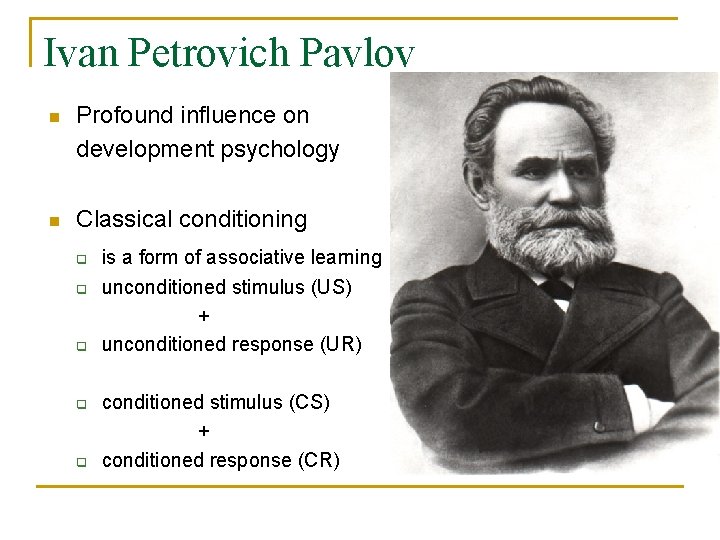 Ivan Petrovich Pavlov n Profound influence on development psychology n Classical conditioning q q