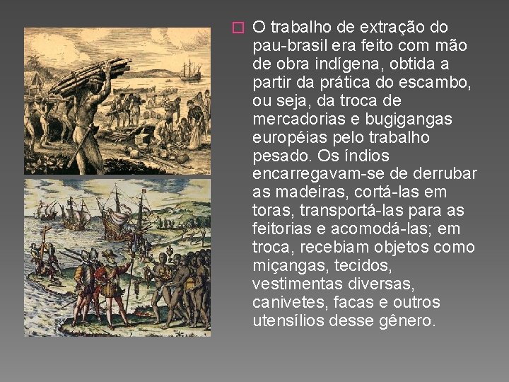 Chegada dos portugueses ao Brasil O Descobrimento do