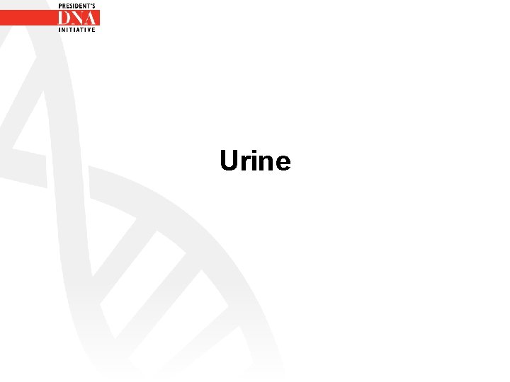 Urine 