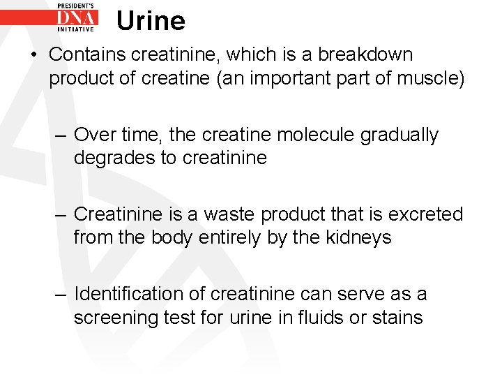 Urine • Contains creatinine, which is a breakdown product of creatine (an important part