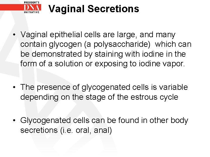 Vaginal Secretions • Vaginal epithelial cells are large, and many contain glycogen (a polysaccharide)