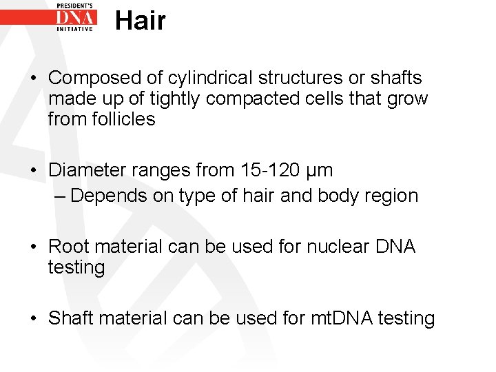 Hair • Composed of cylindrical structures or shafts made up of tightly compacted cells