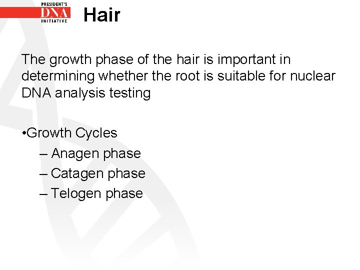 Hair The growth phase of the hair is important in determining whether the root