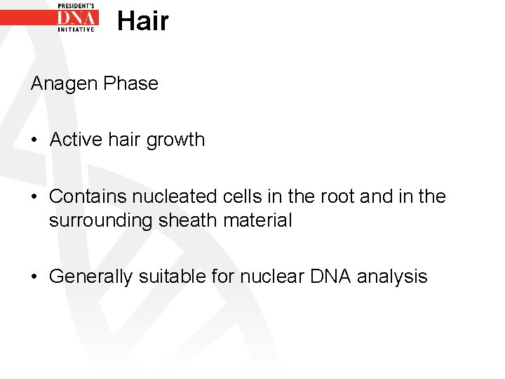 Hair Anagen Phase • Active hair growth • Contains nucleated cells in the root