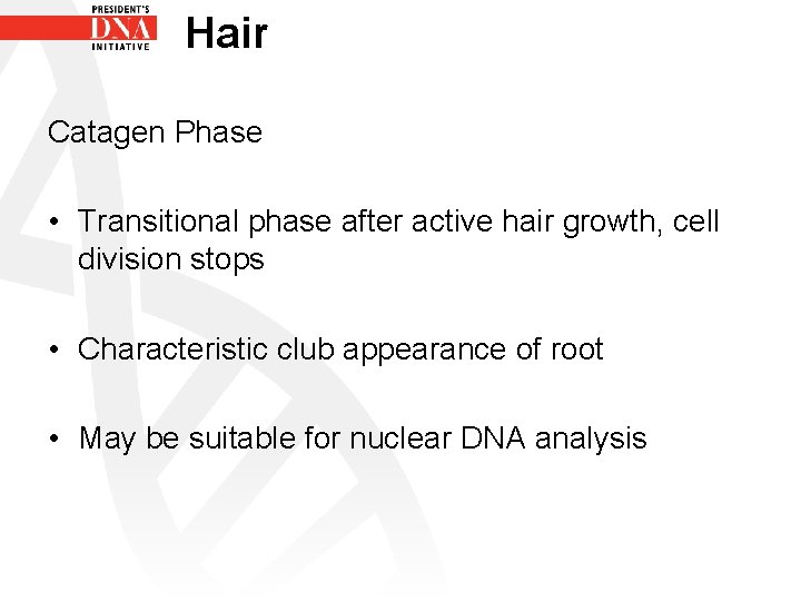 Hair Catagen Phase • Transitional phase after active hair growth, cell division stops •