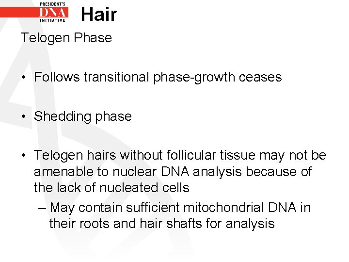 Hair Telogen Phase • Follows transitional phase-growth ceases • Shedding phase • Telogen hairs