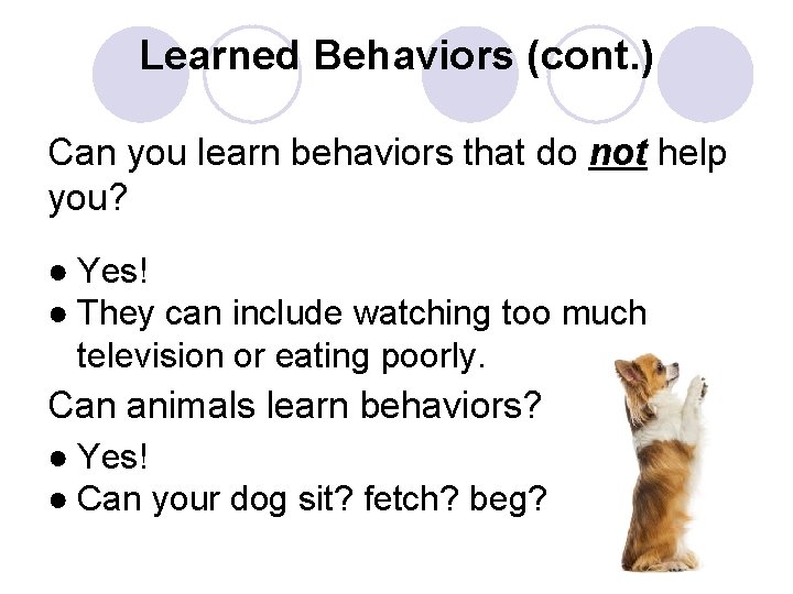 Learned Behaviors (cont. ) Can you learn behaviors that do not help you? ●