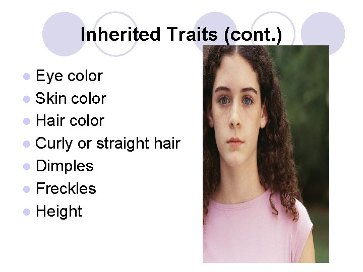 Inherited Traits (cont. ) ● Eye color ● Skin color ● Hair color ●