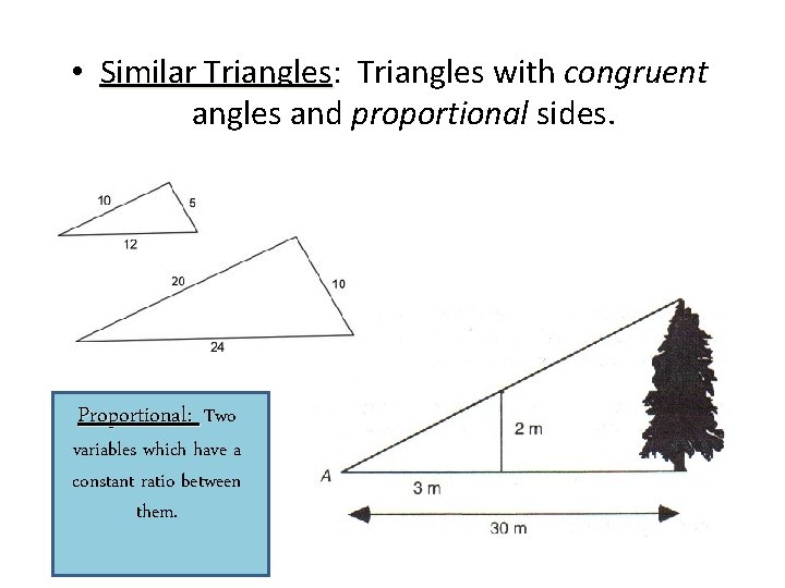  • Similar Triangles: Triangles with congruent angles and proportional sides. Proportional: Two variables