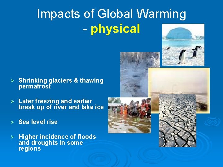 Impacts of Global Warming - physical Ø Shrinking glaciers & thawing permafrost Ø Later