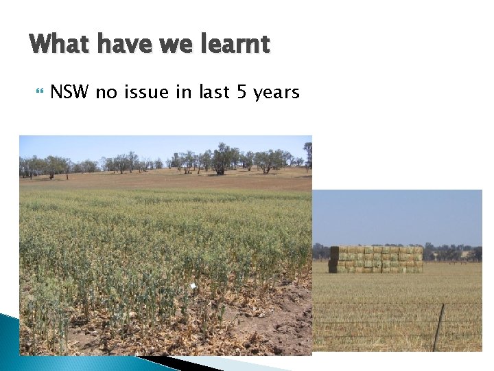What have we learnt NSW no issue in last 5 years 