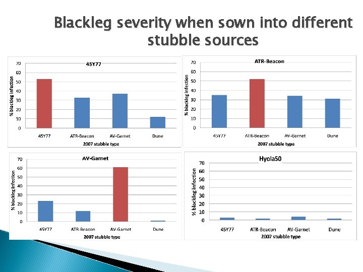 Blackleg severity when sown into different stubble sources 