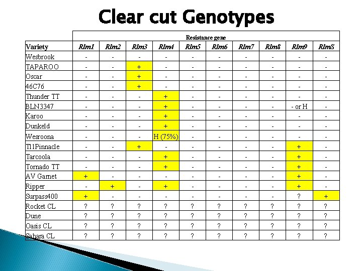 Clear cut Genotypes Resistance gene Variety Wesbrook TAPAROO Oscar 46 C 76 Thunder TT