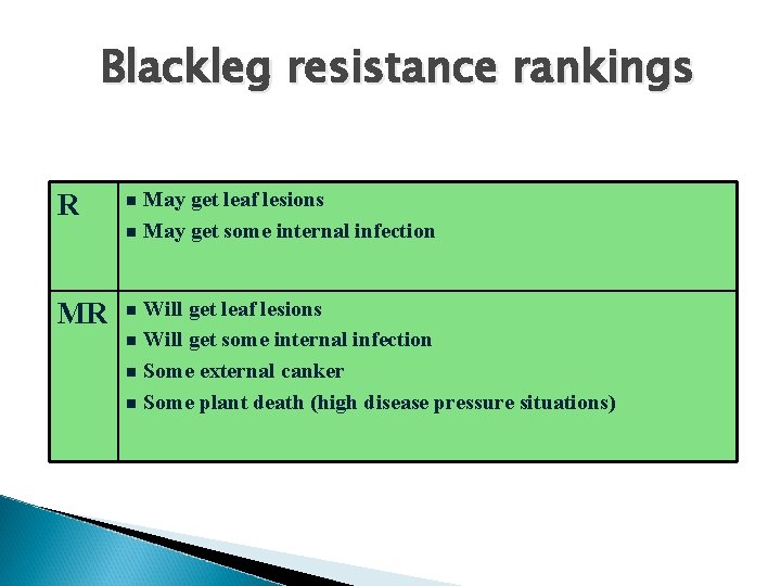 Blackleg resistance rankings May get leaf lesions n May get some internal infection R
